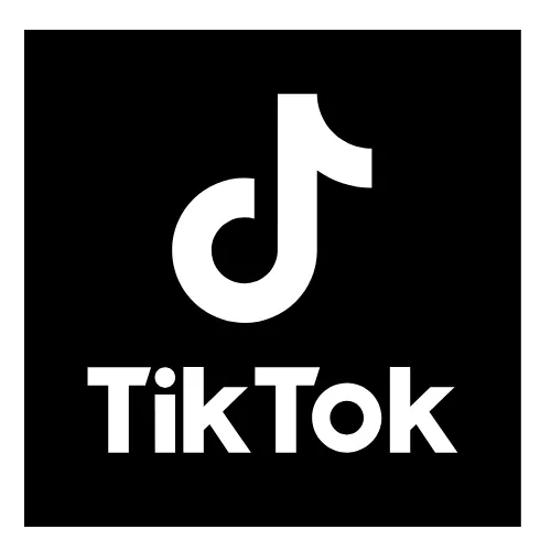TikTok LEDTECH